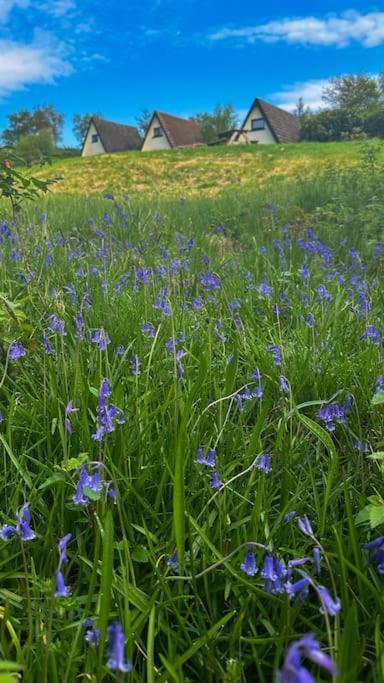 1 Bedroom Cabin With Mountain & Loch Views - Quiet Location Between Glencoe & Ben Nevis Corran  Ngoại thất bức ảnh