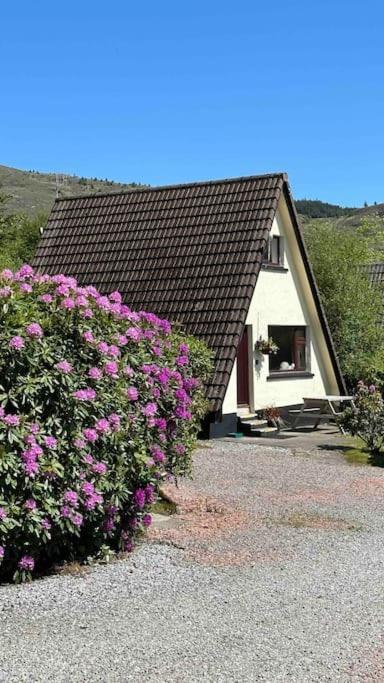 1 Bedroom Cabin With Mountain & Loch Views - Quiet Location Between Glencoe & Ben Nevis Corran  Ngoại thất bức ảnh