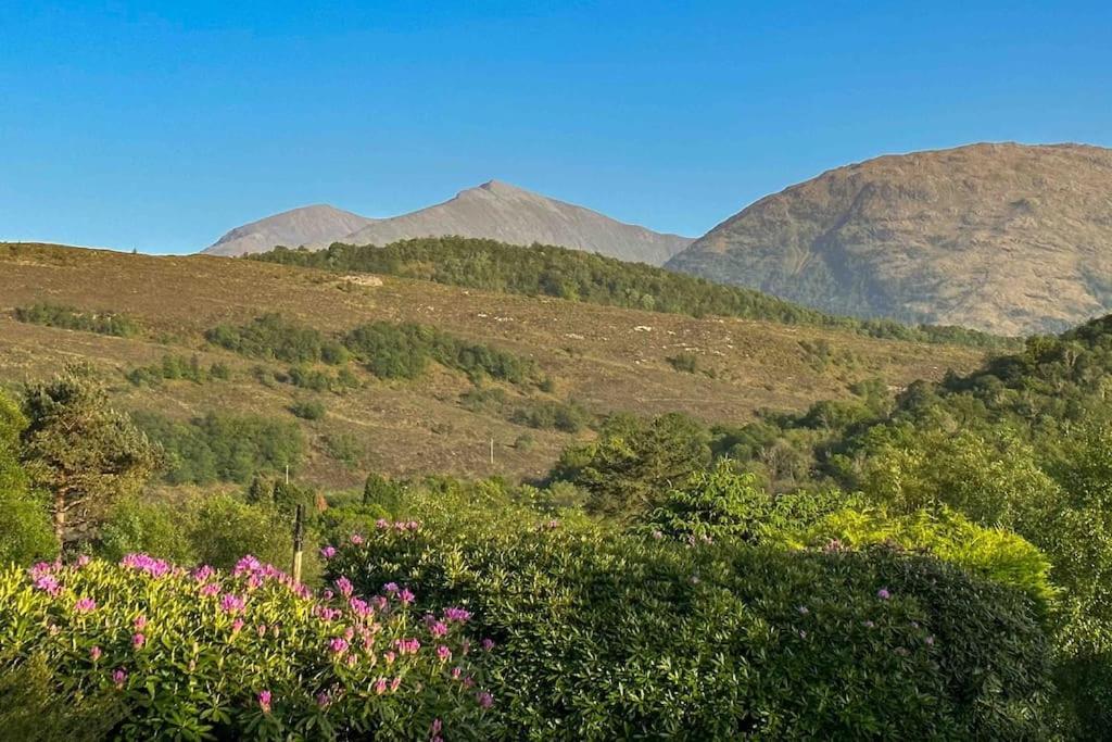 1 Bedroom Cabin With Mountain & Loch Views - Quiet Location Between Glencoe & Ben Nevis Corran  Ngoại thất bức ảnh