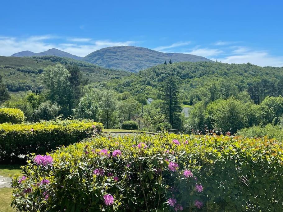 1 Bedroom Cabin With Mountain & Loch Views - Quiet Location Between Glencoe & Ben Nevis Corran  Ngoại thất bức ảnh