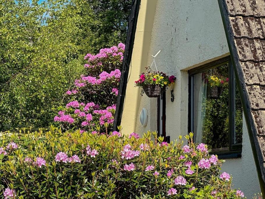 1 Bedroom Cabin With Mountain & Loch Views - Quiet Location Between Glencoe & Ben Nevis Corran  Ngoại thất bức ảnh