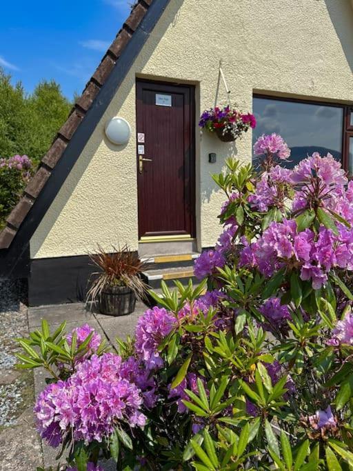 1 Bedroom Cabin With Mountain & Loch Views - Quiet Location Between Glencoe & Ben Nevis Corran  Ngoại thất bức ảnh