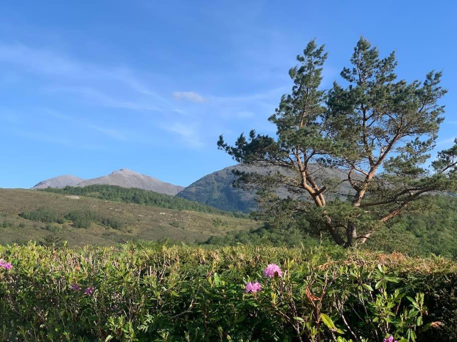 1 Bedroom Cabin With Mountain & Loch Views - Quiet Location Between Glencoe & Ben Nevis Corran  Ngoại thất bức ảnh