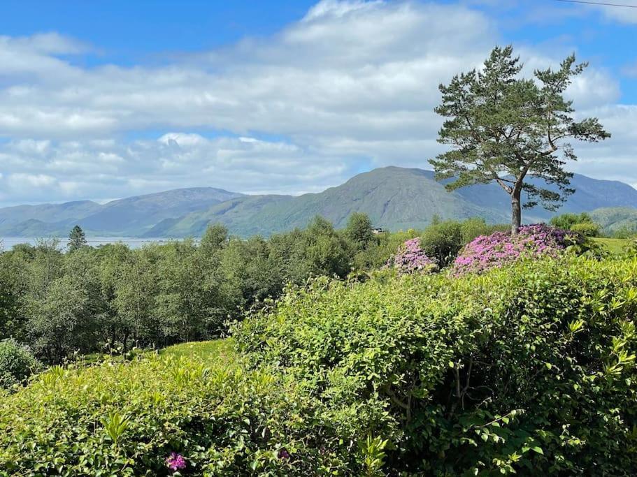 1 Bedroom Cabin With Mountain & Loch Views - Quiet Location Between Glencoe & Ben Nevis Corran  Ngoại thất bức ảnh